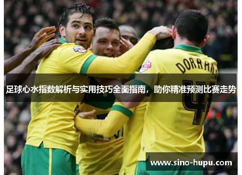 足球心水指数解析与实用技巧全面指南,助你精准预测比赛走势 足球心水指数解析与实用技巧全面指南,助你精准预测比赛走势
