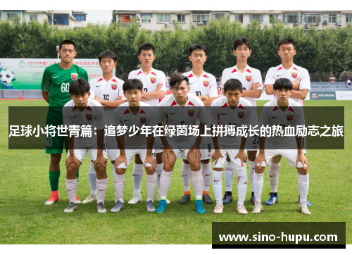 足球小将世青篇：追梦少年在绿茵场上拼搏成长的热血励志之旅